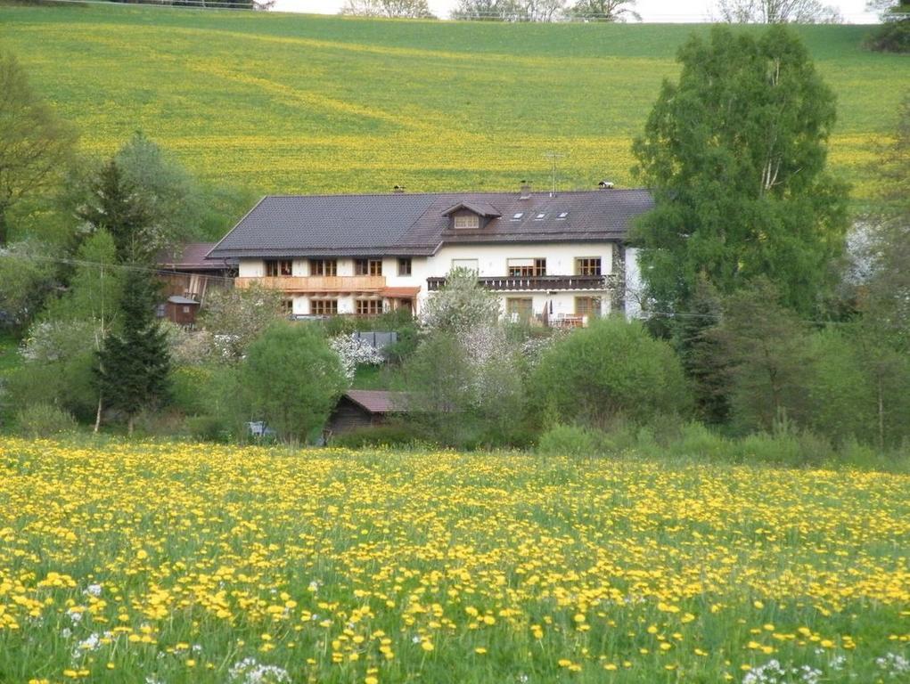 Pension Landhaus Riedelstein Drachselsried Bagian luar foto