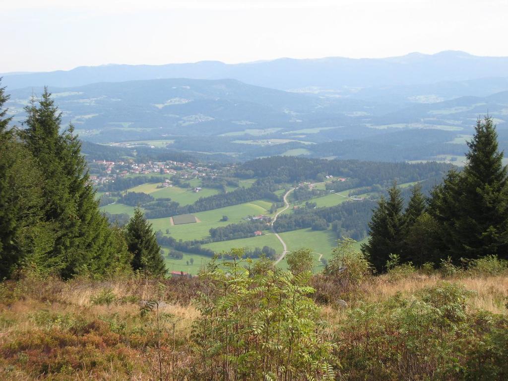 Pension Landhaus Riedelstein Drachselsried Bagian luar foto