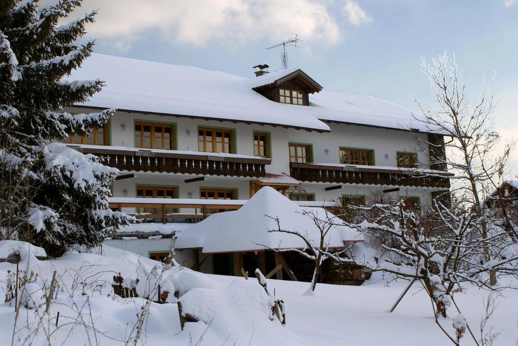 Pension Landhaus Riedelstein Drachselsried Bagian luar foto